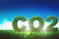 Eco-Operating Courses Now CITB Grant-Aided