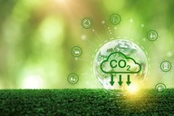 Carbon Cutting Solutions